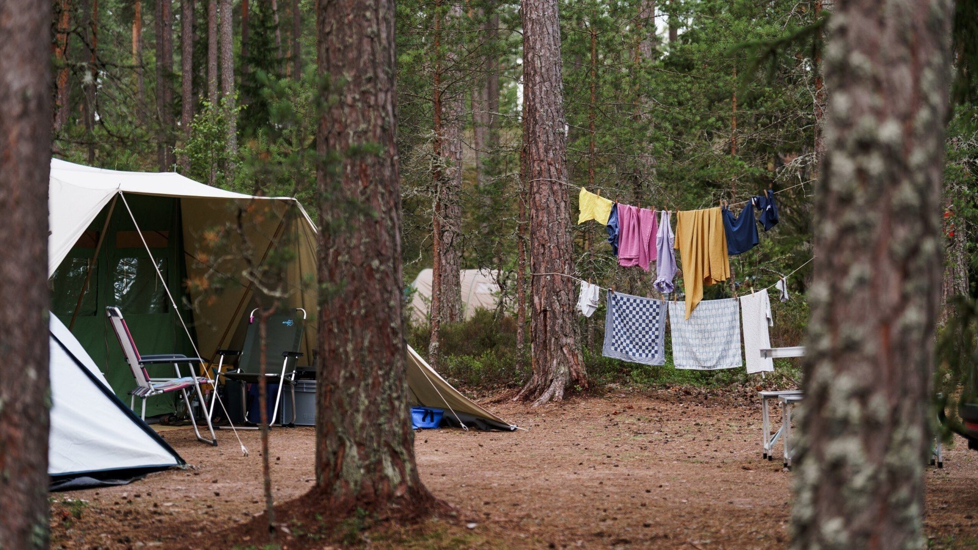 Pj spilhammars 00071